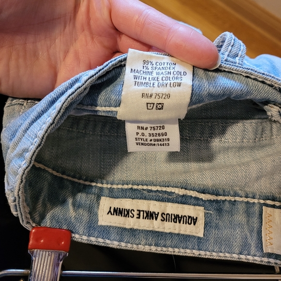 Daytrip Aquarius Ankle Skinny Jean - Picture 6 of 6